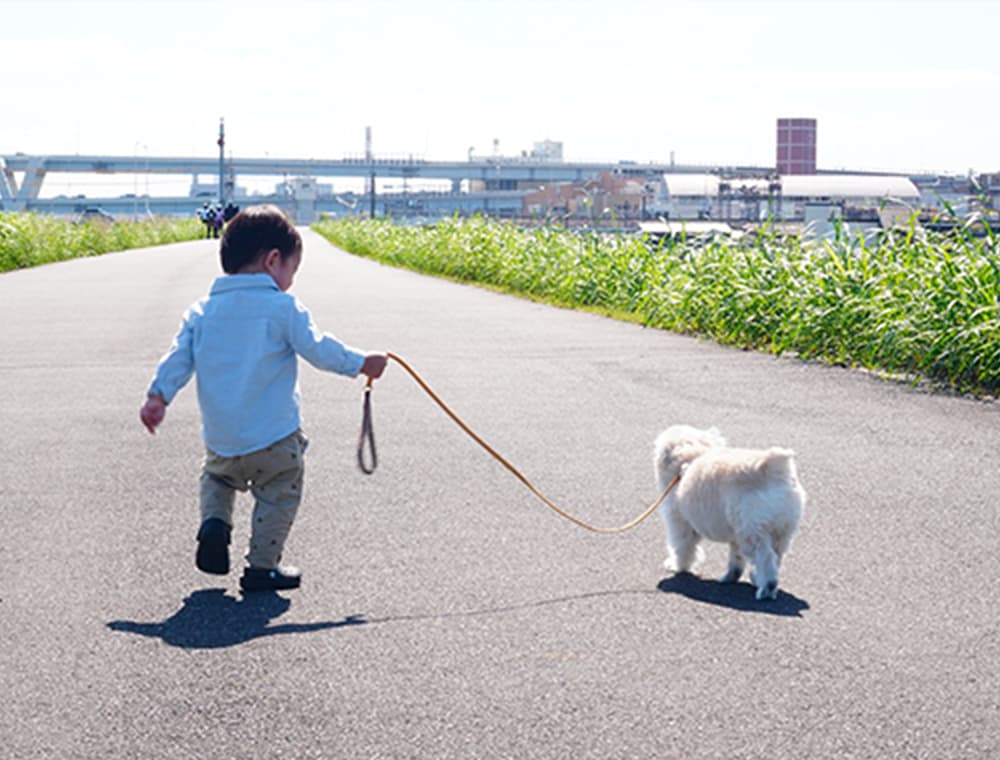 子供と犬